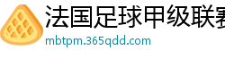 法国足球甲级联赛